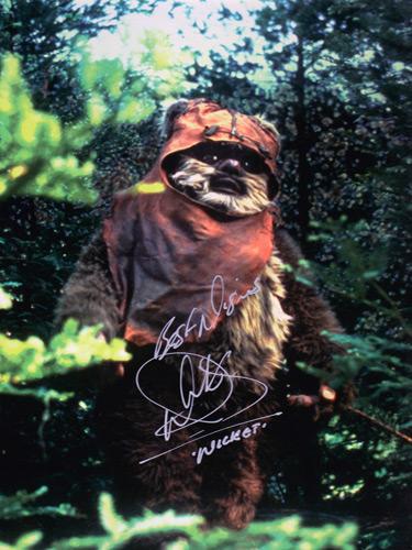 Warwick-Davis-autograph-signed-star-wars-memorabilia-Wicket-Warrick-ewok-return-of-the-jedi-willow-harry-potter-griphook-Weazel-wald-yoda-dr-who-porridge